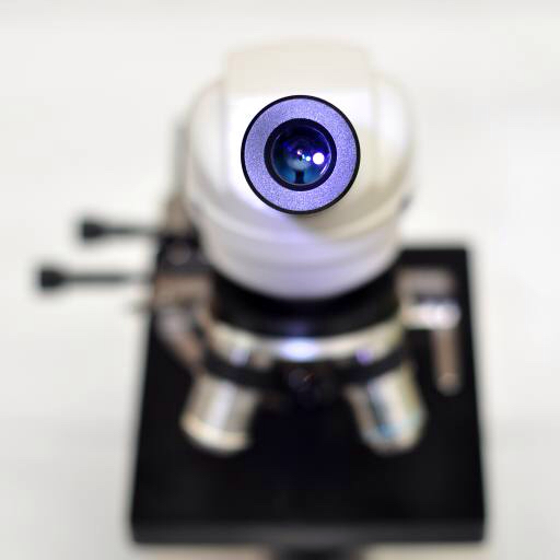 kamera lensi, mikroskop catiamadio