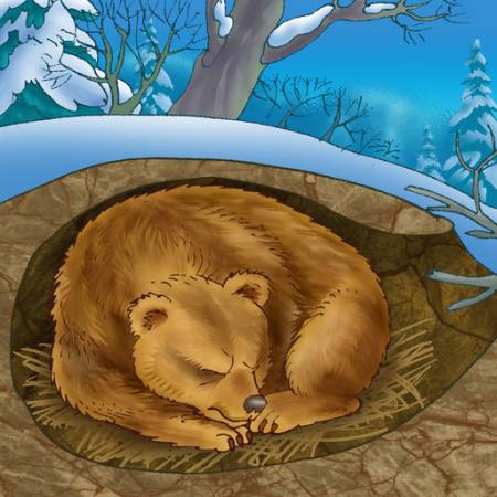 ayı, kış, uyku, soğuk, doğa Alexander Kukushkin - Dreamstime