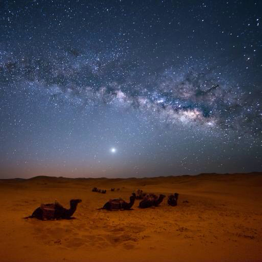 gök, gece, , çöl, deve, yıldız, ay Valentin Armianu (Asterixvs)