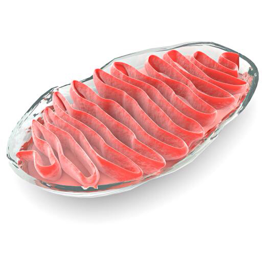 Hücre, Cep, kırmızı et, Gelly, bakteri Vampy1