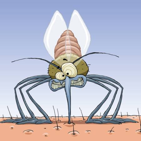 sivrisinek, hayvanlar, saç, sinekler, aile, enfeksiyon, sıtma Dedmazay - Dreamstime