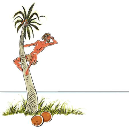 erkek, ada, mahsur, hindistan cevizi, palmiye ağacı, bak, deniz, okyanus Sylverarts - Dreamstime