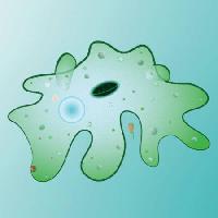 Pixwords Görüntü hücre, hücresel, yeşil, balçık, bulaşmaya Designua - Dreamstime