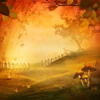 sezon, yangın, mantar, tarla, kırmızı, yaprak, çit Mythja - Dreamstime