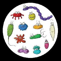 Pixwords Görüntü böcekler, mikroskop, balçık, virüs Dedmazay - Dreamstime