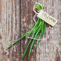Pixwords Görüntü frenk soğanı, yeşil, bitki, sebze, sebze, etiket, ağaç stockcreations