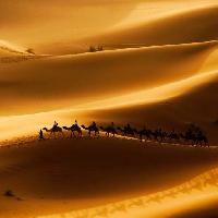 Pixwords Görüntü kum, çöl, deve, doğa Rcaucino