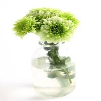 Pixwords Görüntü bitki, çiçek, yeşil, su, tüp, vazo Kerstin Aust - Dreamstime