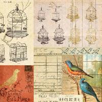 Pixwords Görüntü kafes, kuş, kuşlar, çizim Jodielee