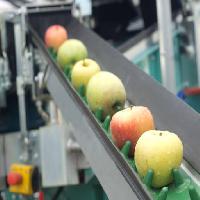 Pixwords Görüntü elma, gıda, makine, fabrika Jevtic