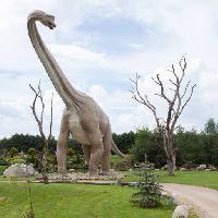Pixwords Görüntü dinozor parkı, ağaç, lüle, hayvan Caesarone