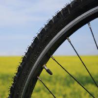 Pixwords Görüntü bisiklet, tekerlekli, yeşil, çimen, tarla, doğa Leonidtit