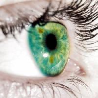 Yeşil, göz kapakları, göz Goran Turina - Dreamstime