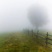 Pixwords Görüntü sis, tarla, ağaç, çit, yeşil, çimen Andrei Calangiu - Dreamstime