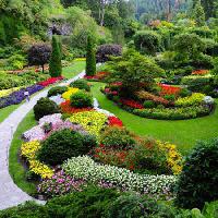 Pixwords Görüntü Bahçe, çiçek, renkler, yeşil Photo168 - Dreamstime