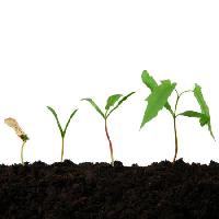 Toprak, toprak, bitki, doğa, çamur, büyümek Photka - Dreamstime