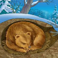 Pixwords Görüntü ayı, kış, uyku, soğuk, doğa Alexander Kukushkin - Dreamstime