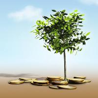 Pixwords Görüntü ağaç, para, yeşil Andreus - Dreamstime