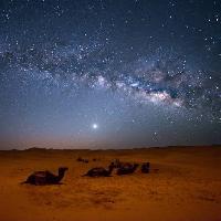 Pixwords Görüntü gök, gece, , çöl, deve, yıldız, ay Valentin Armianu (Asterixvs)