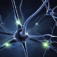 sinaps, kafa, nöron bağlantıları Sashkinw - Dreamstime