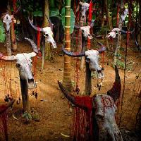 Pixwords Görüntü kafa, kafaları, kafatası, kafatası, kan, ağaçlar, hayvanlar Victor Zastol`skiy - Dreamstime