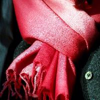 Pixwords Görüntü kırmızı, kumaş, giysi, eşarp, düğme Clarita