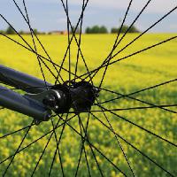 Pixwords Görüntü sarı tekerlek, toprak, çim, alan, bisiklet, Leonidtit