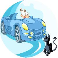 Pixwords Görüntü araba, sürücü, kedi, hayvan Verzhh