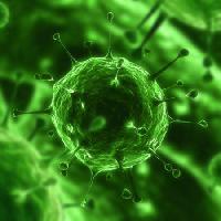 Pixwords Görüntü bakteri, virüs, böcek, hastalık, hücre Sebastian Kaulitzki - Dreamstime